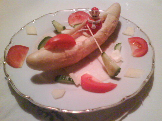 veslař